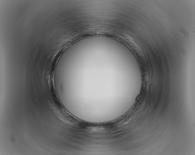 X0000112470500200908170953