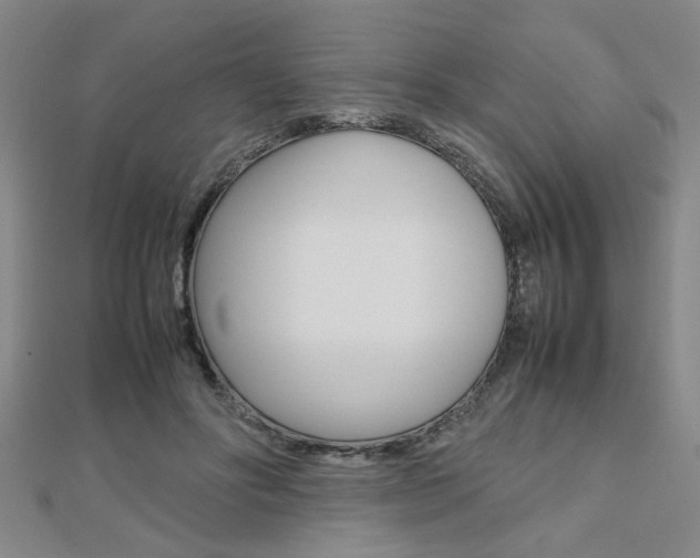 X0000112470502200908170953