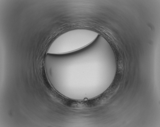 X0000112470503200908170953