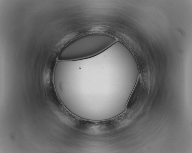 X0000112470504200908170953