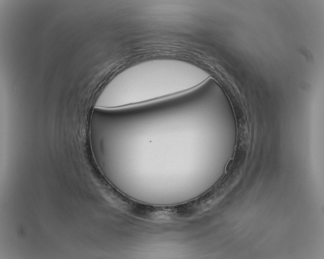 X0000112470505200908170953