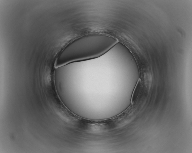 X0000112470508200908170953