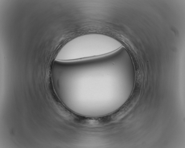 X0000112470509200908170953