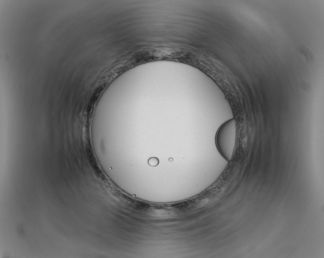 X0000112470510200908170953