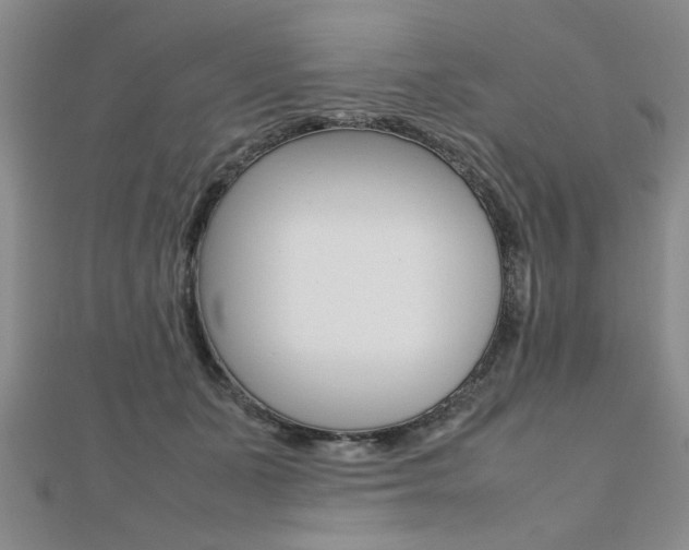 X0000112470511200908170953