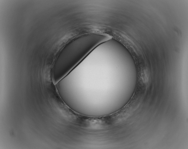 X0000112470512200908170953