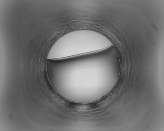 X0000112470513200908170953