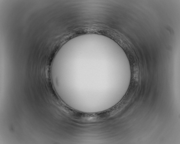 X0000112470514200908170953