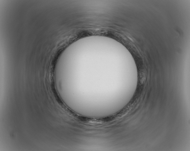X0000112470515200908170953