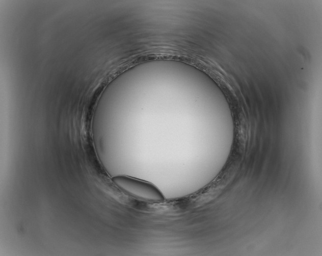 X0000112470516200908170953