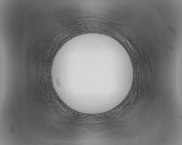 X0000112470517200908170953