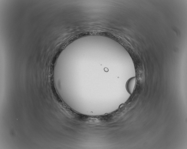 X0000112470519200908170953