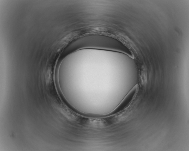 X0000112470520200908170953