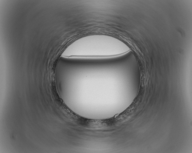 X0000112470521200908170953