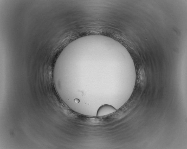 X0000112470522200908170953
