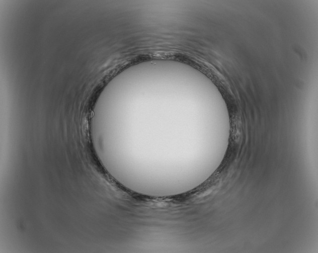 X0000112470523200908170953