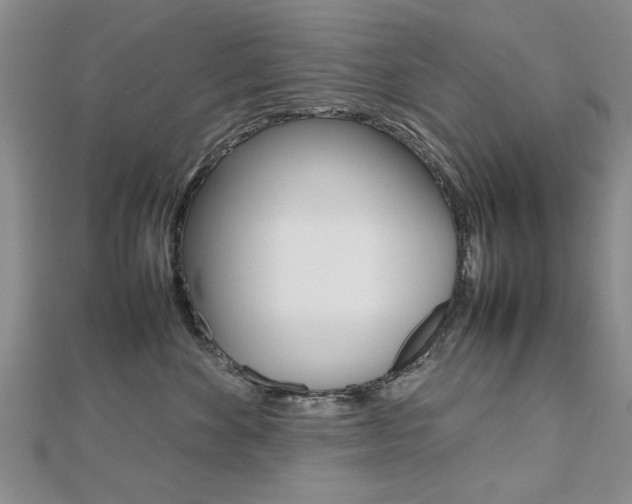 X0000112470524200908170953
