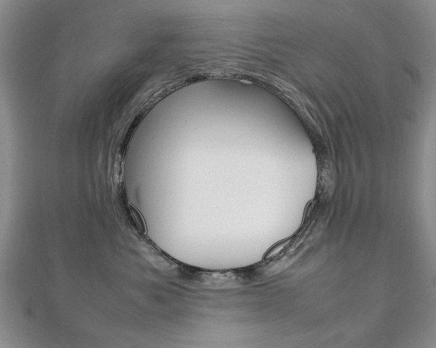 X0000112470525200908170953