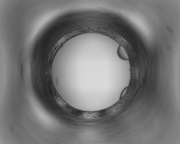 X0000112470526200908170953