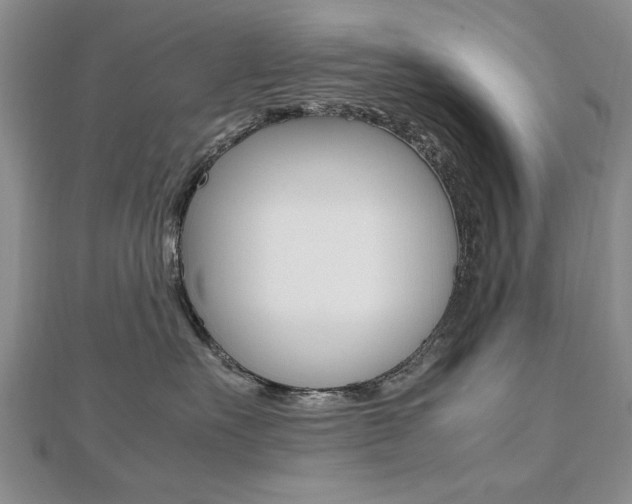 X0000112470527200908170953