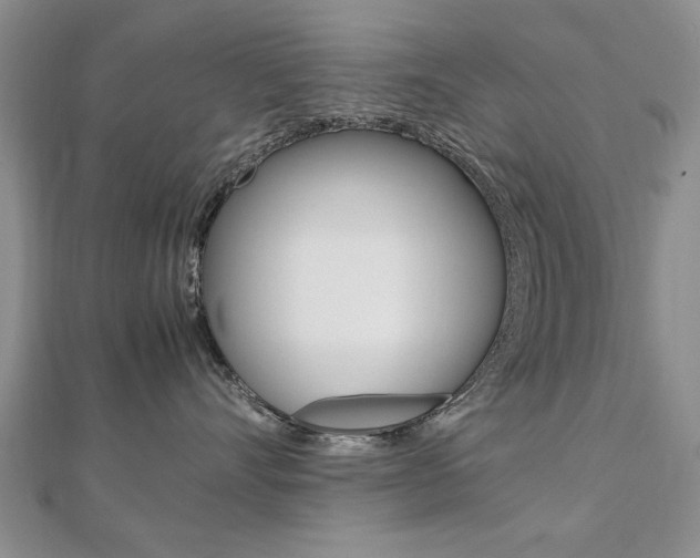 X0000112470528200908170953