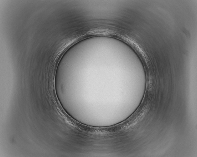 X0000112470529200908170952