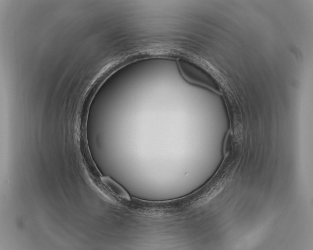 X0000112470530200908170952