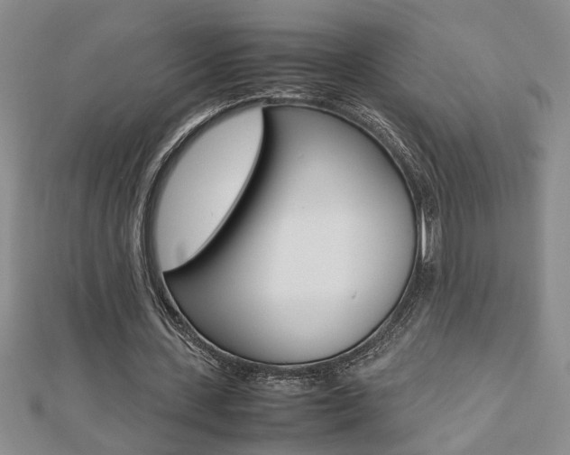 X0000112470531200908170952