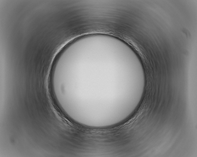 X0000112470532200908170952