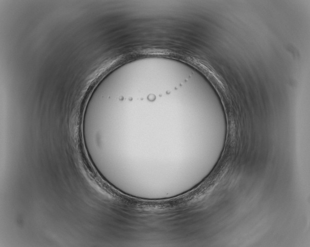 X0000112470533200908170952