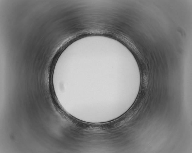 X0000112470534200908170952