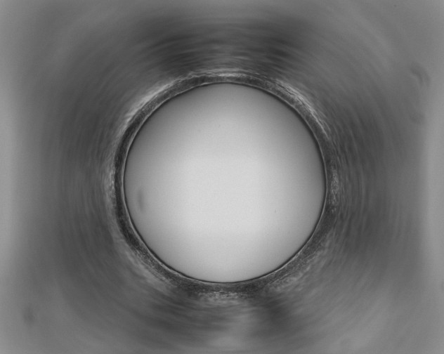 X0000112470535200908170952