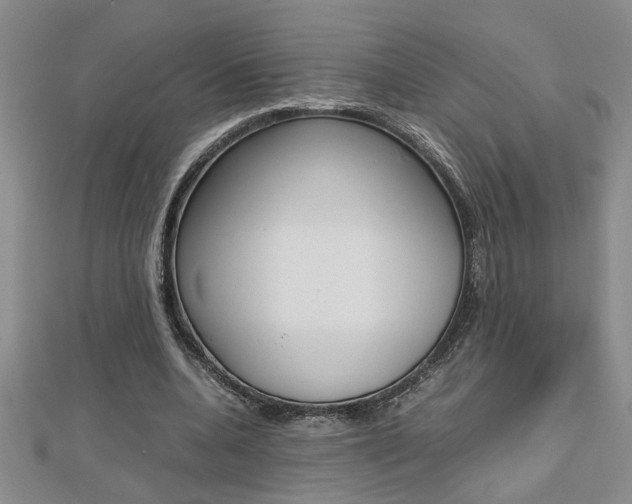 X0000112470536200908170952
