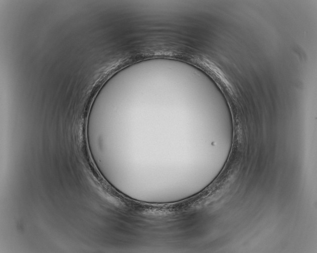 X0000112470537200908170952