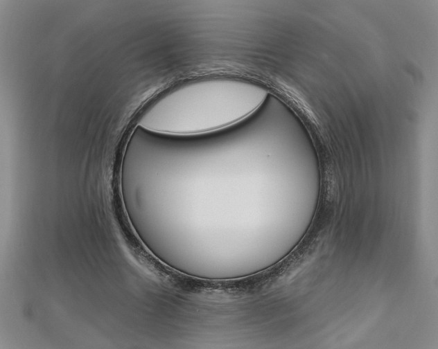 X0000112470538200908170952