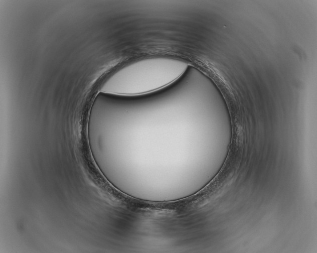 X0000112470539200908170952