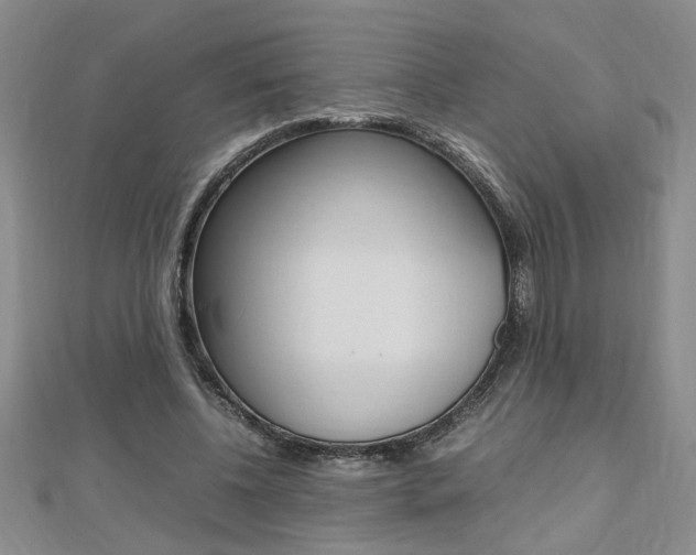 X0000112470540200908170952