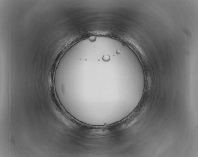 X0000112470541200908170952