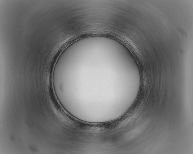 X0000112470542200908170952