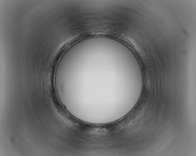 X0000112470543200908170952