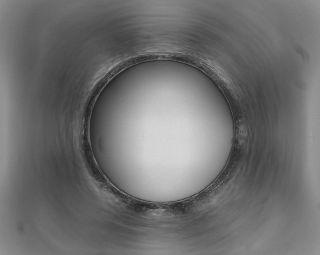X0000112470544200908170952