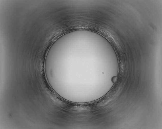 X0000112470545200908170952