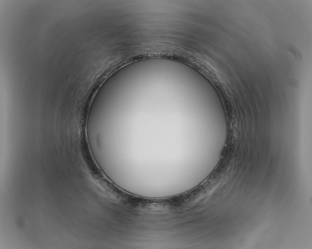 X0000112470546200908170952