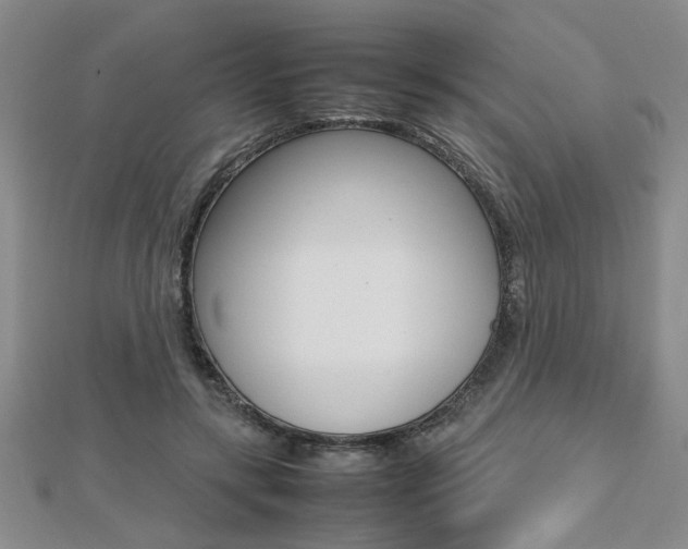X0000112470547200908170952