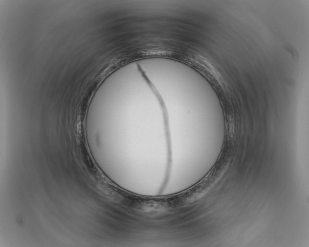 X0000112470549200908170952