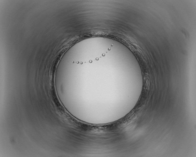 X0000112470550200908170953