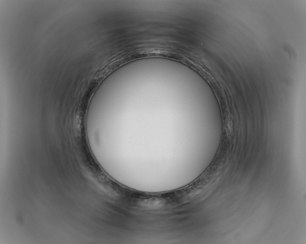 X0000112470551200908170953
