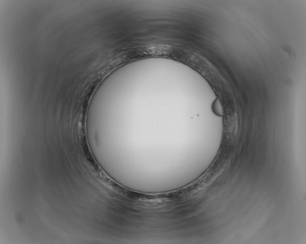 X0000112470553200908170953