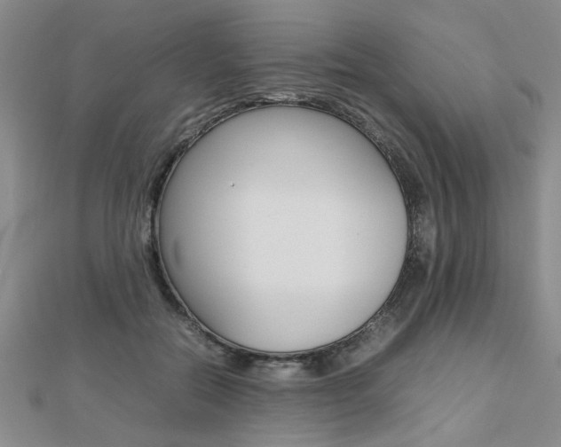 X0000112470554200908170953