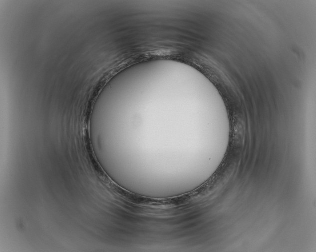 X0000112470555200908170953